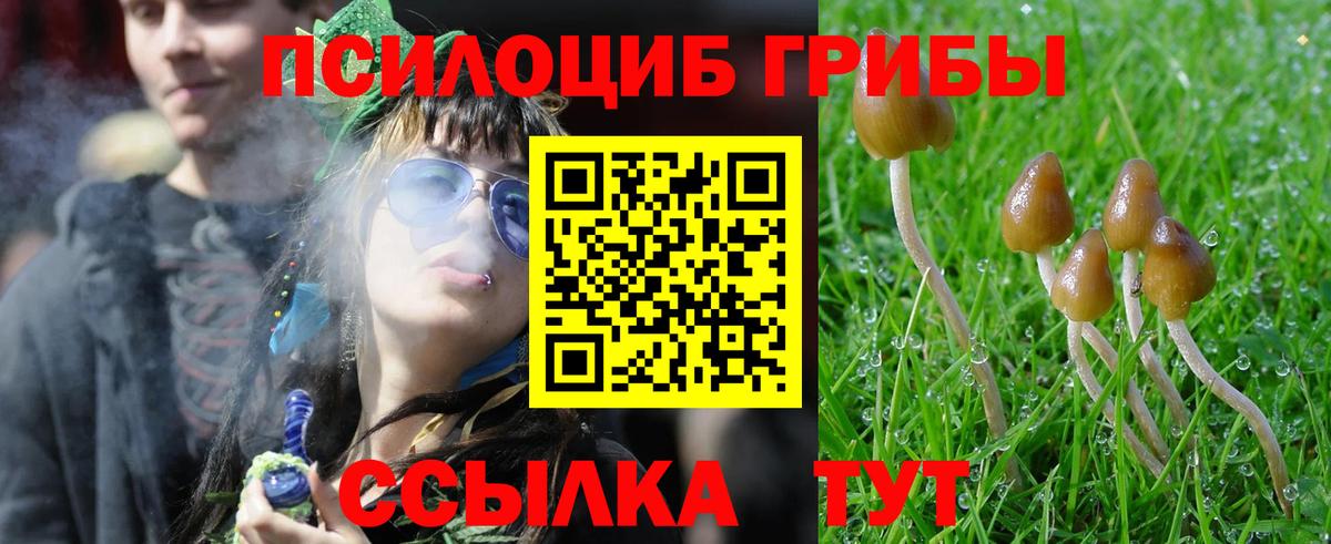 Галлюциногенные грибы Magic Shrooms  Вход с VPN  Тихвин 